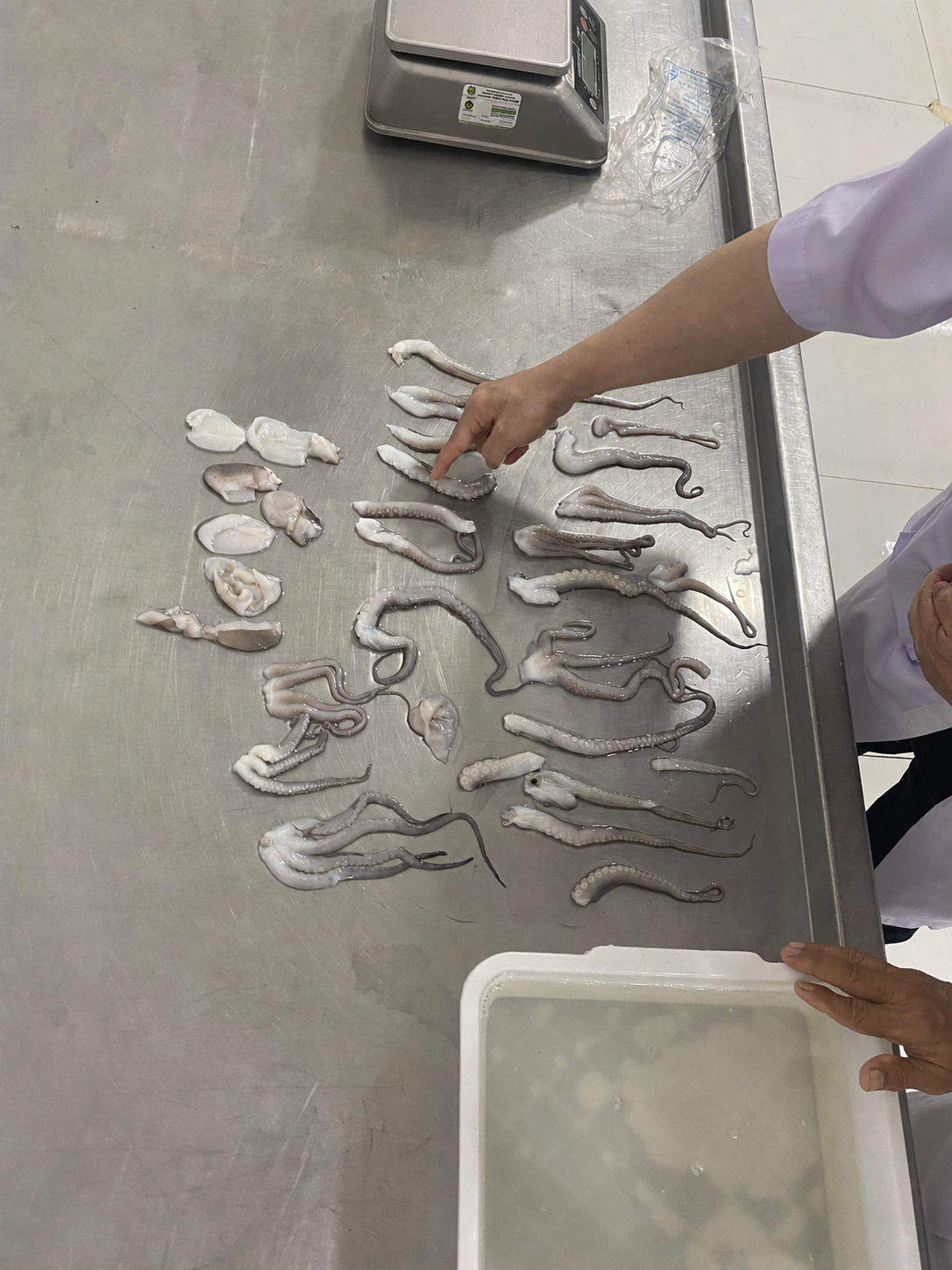 Raw Material Processing